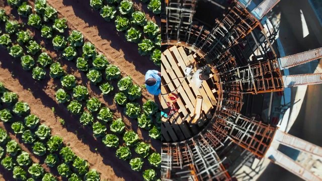 Techedge se convierte en Avvale para crear nuevos modelos de negocio más sostenibles