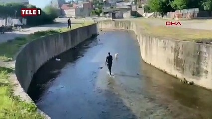 O kaçtı itfaiye kovaladı! Dereye düşen kuzu kurtarıldı