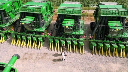 ده برابرشدن سرمایه‌گذاری خارجی در ازبکستان پس از اصلاحات اقتصادی