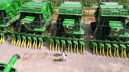 Uzbekistán o un país con mucho potencial para las inversiones extranjeras