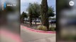 Texas outlet mall shooting leaves at least eight dead; gunman killed | USA TODAY