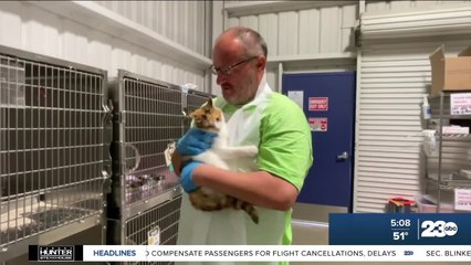 KCAS volunteer who walked 6 miles a day gifted with bus passes | KERN'S KINDNESS