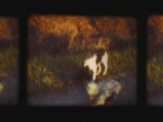 M83 Fields Shorelines and Hunters