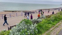 Eastbourne group dog walk for charity