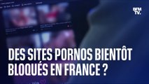 Des sites pornos bientôt bloqués en France?