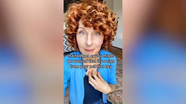 Pet communicator speaks to dead animals full time after quitting corporate role when furry friend told her to