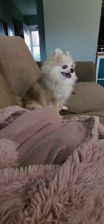 Hide And Seek With Yoska