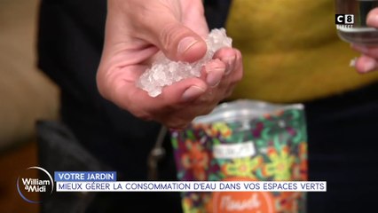 Votre jardin : Mieux gérer la consommation d'eau dans vos espaces verts