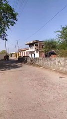 सिटी के फॉरेस्ट से आए दिन हो रहा पेड़ों का कटान