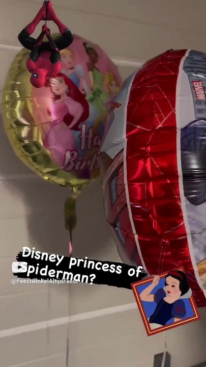 Disney princess of Spiderman heliumballon_ Welke kies jij_ Feestwinkel Altijd Feest