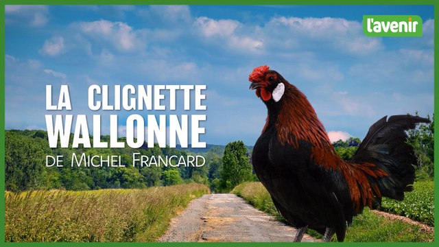 La clignette wallonne de Michel Francard 26-05