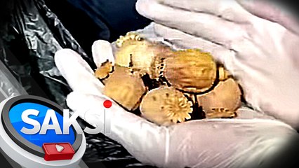 5 kilo ng dried Opium Poppy Buds, nasabat sa NAIA | SONA