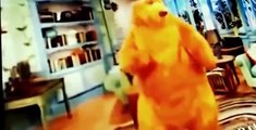 Bear in the Big Blue House E00- Why Bears Cant Fly