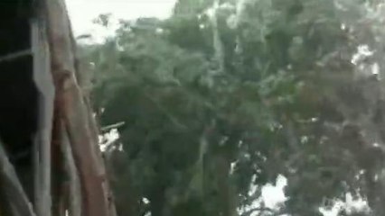 కామారెడ్డి: భారీ వర్షాలు కురిసే అవకాశం.. అప్రమత్తంగా ఉండండి