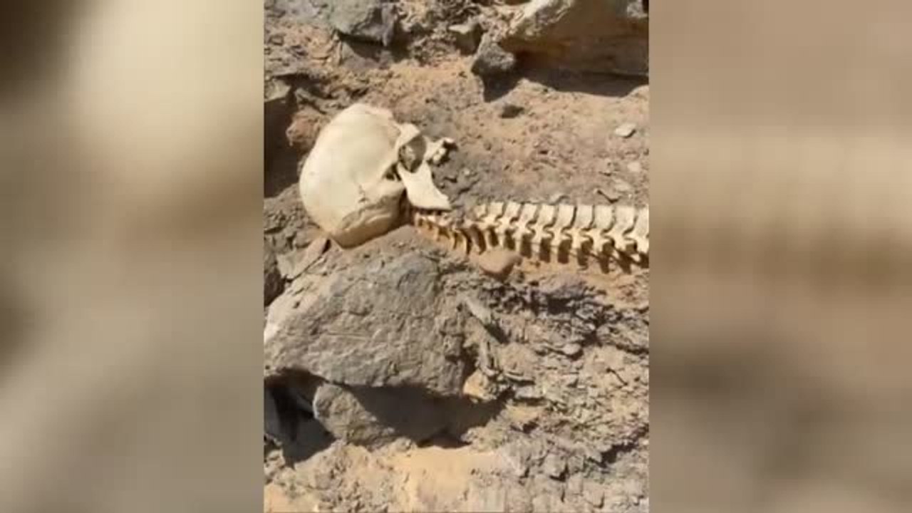 El asombroso hallazgo de dos senderistas en Gran Canaria