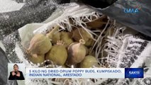 5 kilo ng dried opium poppy buds, kumpiskado; Indian national, arestado | Saksi