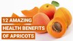 12 Amazing Health Benefits of Apricots