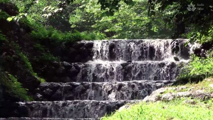 Скачать видео: Calming Cascade Waterfall in Forest | 1 Hour Relaxing Video (Nature Sounds)