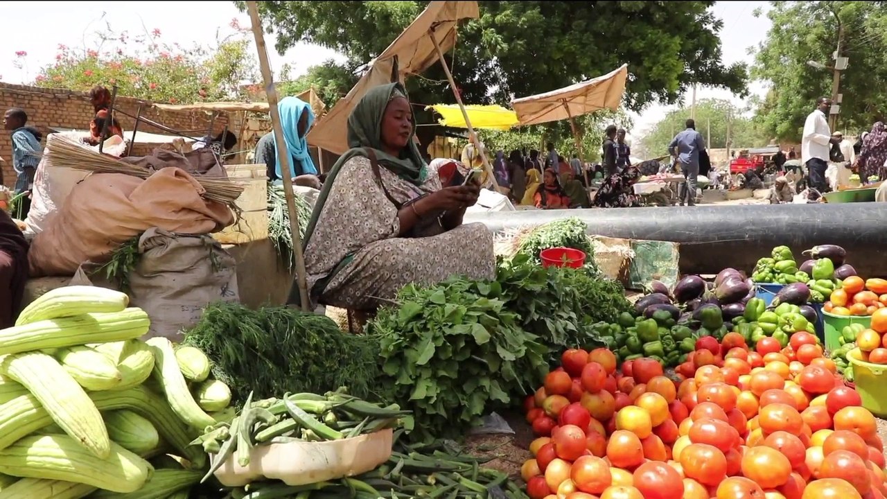 السودان.. المعارك الدائرة تخلف ركودا كبيرا بالأ...