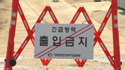 [뉴스라이더] "4년 만에 구제역 발생...황사 타고 전파?" / YTN
