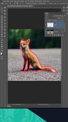 Tips photoshop - Détourage
