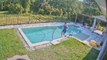 Dog Runs Away When Person Loses Footing and Falls Into Pool