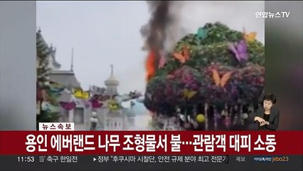 [속보] 용인 에버랜드 나무 조형물서 불…관람객 대피 소동