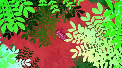 New World Vultures Are Amazing But Also Filled With Surprises