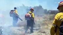 El apoyo de 116 brigadistas y 8 mil 500 hectáreas afectadas tras incendio en Ojuelos de Jalisco