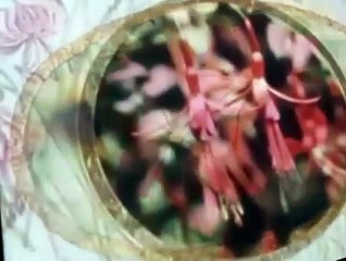 The Wind in the Willows The Wind in the Willows E045 – Hot Air
