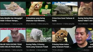 Video_Kucing_Tanpa_Muka_dan_Suara