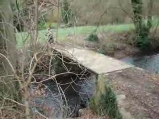 video dirt bike250 cc