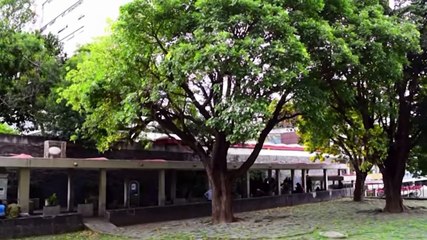 El rector de la UNAM hizo un llamado urgente a fortalecer la enseñanza superior de Iberoamérica