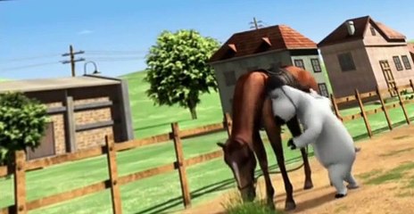 Bernard Bernard S03 E005 Horse Training