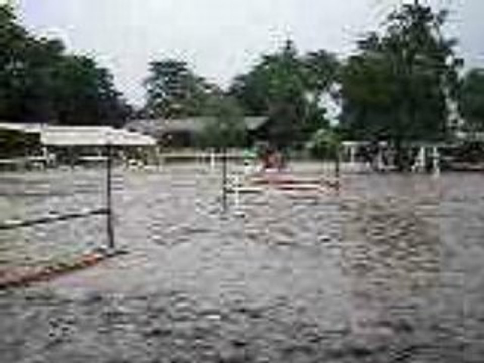 l'équitation: une passion