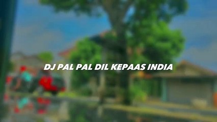 DJ PAL PAL DIL KEPAAS INDIA LAIT FT VIXY