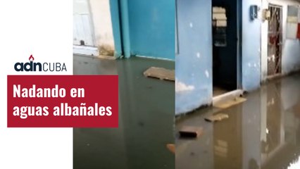 Casas inundadas por aguas  albañales