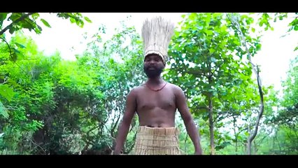 comedy video the comedy kingdom