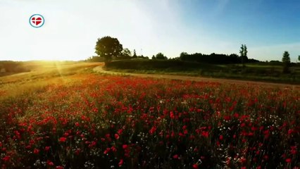 La Biblia y Historias del Nuevo Testamento Completos