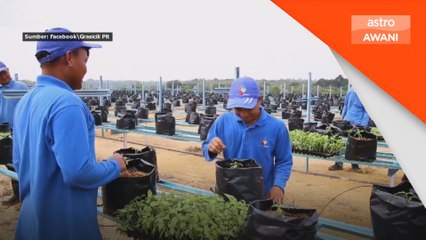 Sektor pertanian jalankan jadual kerja fleksibel ketika cuaca panas