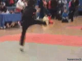 Seif championnat de france kung fu