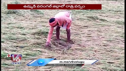 Download Video: Huge Crop Damage Due To Heavy Rains Warangal | V6 News