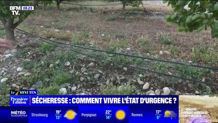 7 MINUTES POUR COMPRENDRE - Sécheresse: comment vivre l'état d'urgence?