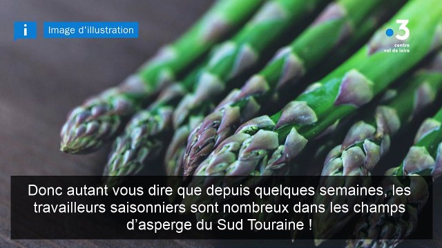 Circuits courts : les asperges