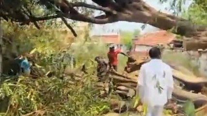 హుజురాబాద్: గాలివాన బీభత్సం.. ఇళ్లపై విరిగిపడిన భారీ వృక్షం..!