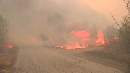 Скачать видео: Estado de emergencia en Siberia por los incendios forestales