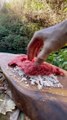 Doğal Taş Ocakta Köfte Ekmek  _ meatballs in natural stone quarry