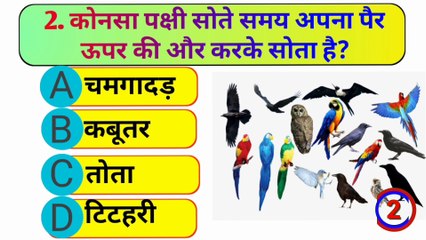 gk ll gk in hindi ll gk quiz ll gk question