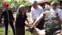 Koyunları ölen kadın üreticiye Aydın Büyükşehir Belediyesi'nden destek