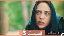 Zarabane Ghalb - ضربان قلب قسمت 3 (Dooble Farsi) HD